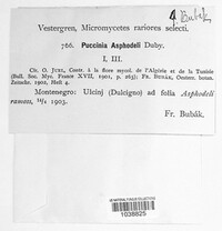 Image Associated With the Occurrence